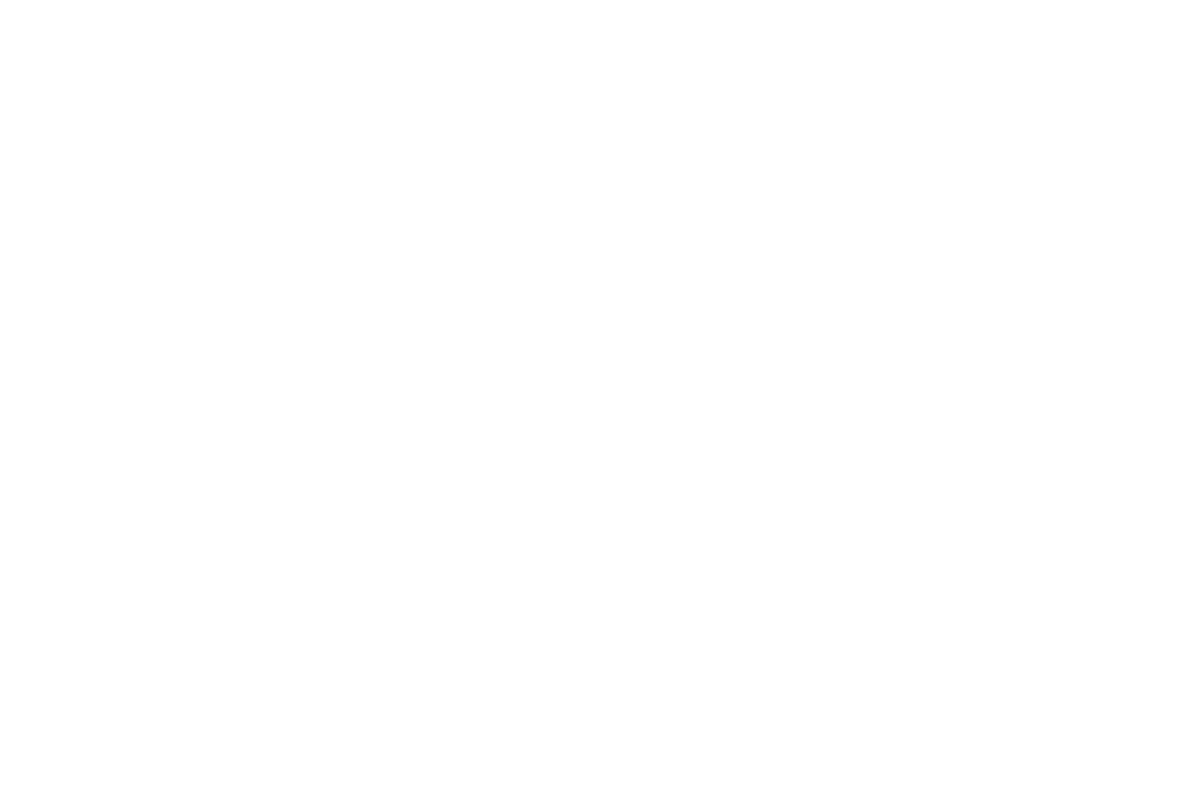 Street Food Corp Logo